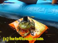 /home//u458753944/public_html/sourcegallery////Frogs/Bullfrogs 2016-08 Ontario/P8140140.JPG